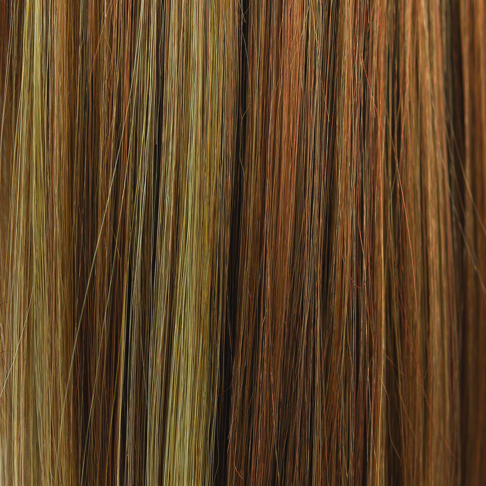Ginger Snap  -  A highlighted and low-lighted color that has a rich coppery gold brown base, with many contrasting weaves of amber blond, cool coppers and ginger and pine undertones. A color which we adore! Ginger Snap  -  A highlighted and low-lighted color that has a rich coppery gold brown base, with many contrasting weaves of amber blond, cool coppers and ginger and pine undertones. A color which we adore!