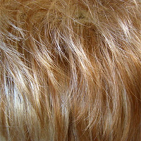 Stevie Synthetic Wig