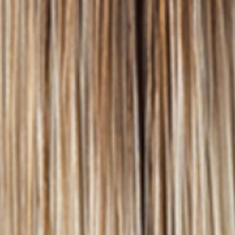 Reed Monofilament Wig