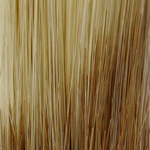 Compliment Synthetic Wig