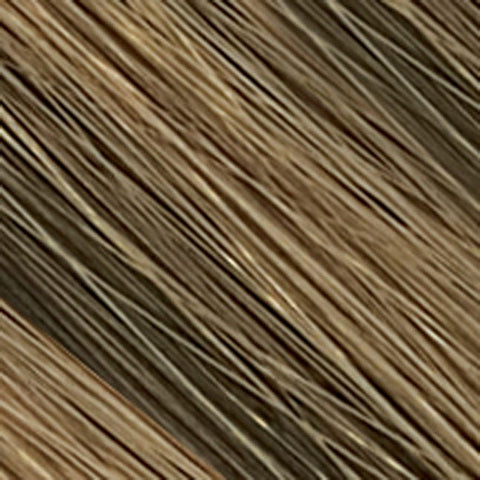 Ponytail Spring Clip