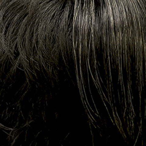Godiva Synthetic Wig