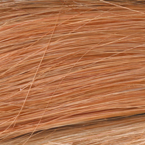 Human Hair Bang Hairpiece