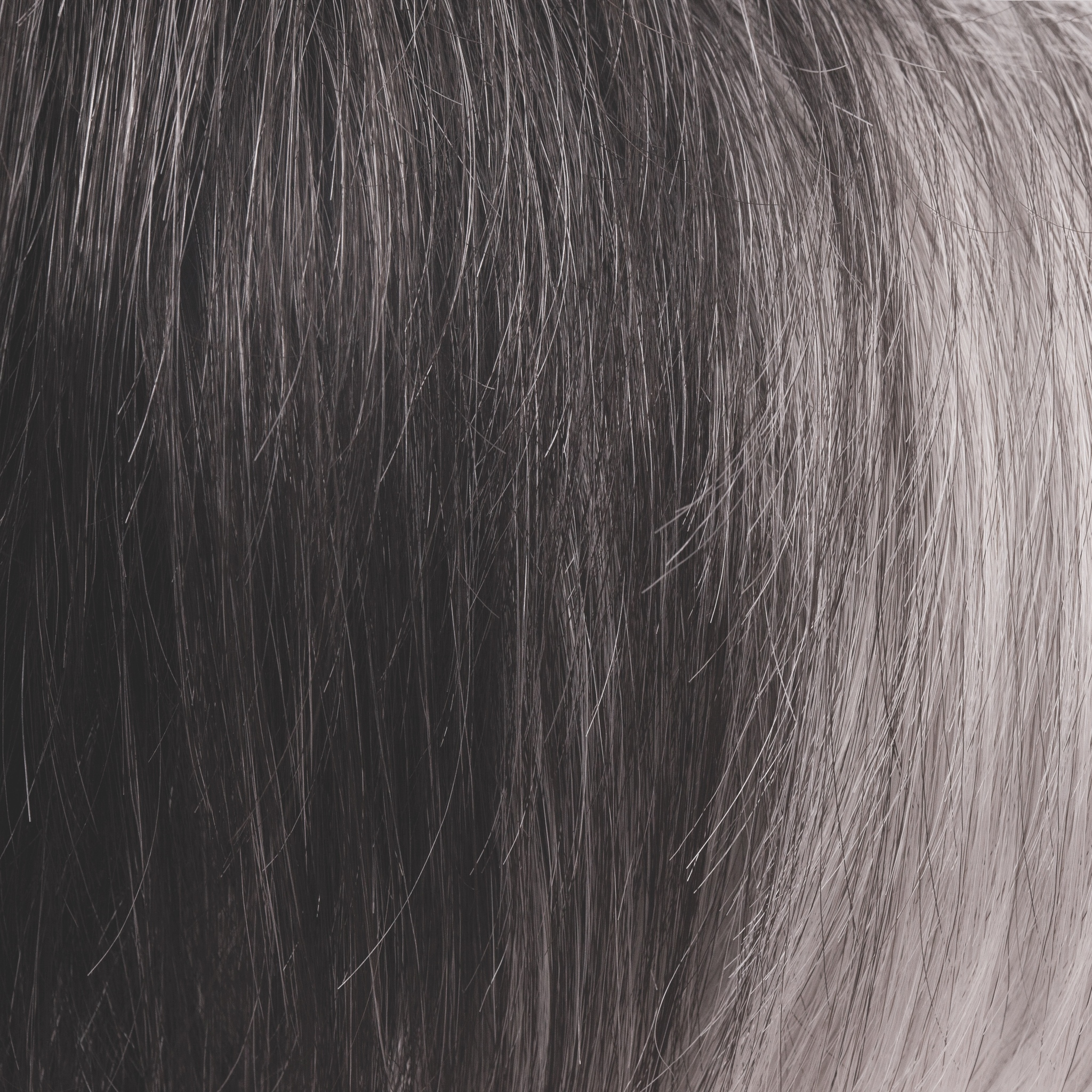 Black Onyx  -  This sultry, modern color is a combination of warm, off-black base with a hint of platinum white. Black Onyx features a nice balance of soft platinum white highlights carefully placed in front, resulting in a fashion-forward look for any style!