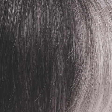 Black Onyx  -  This sultry, modern color is a combination of warm, off-black base with a hint of platinum white. Black Onyx features a nice balance of soft platinum white highlights carefully placed in front, resulting in a fashion-forward look for any style!