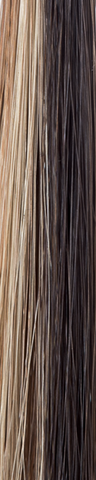 Chocolate Swirl  -  A Cappucino-base, with a mix of honey brown and medium yellow blonde highlights. It features a nice balance of tastefully placed highlights, giving a smooth, decadent look!