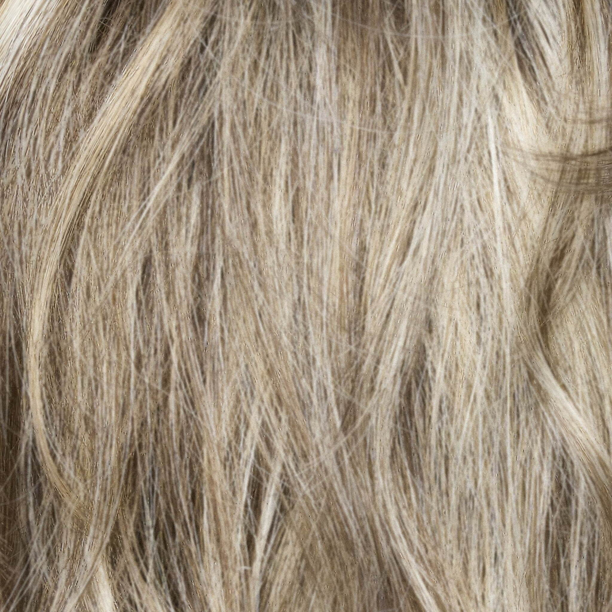 Frosted Mushroom-R  -  Neutral dark-brown base, highlighted with soft golden brown and soft white. This new tone is multi-generational, suitable for fashion looks and sophisticated grey lovers.    