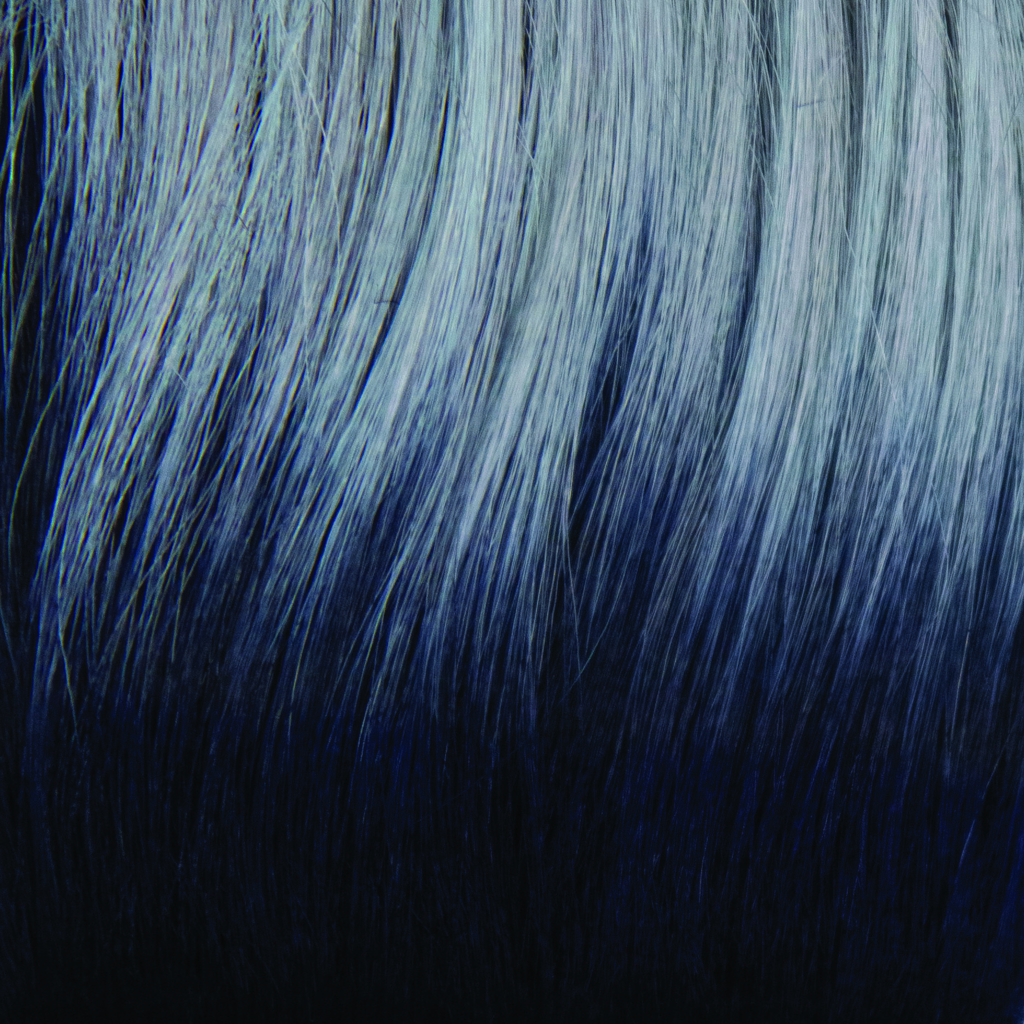 Frozen Sapphire  -  A smoky fused icey blue base with indigo black roots. The crystalline color illuminates any skin tone.