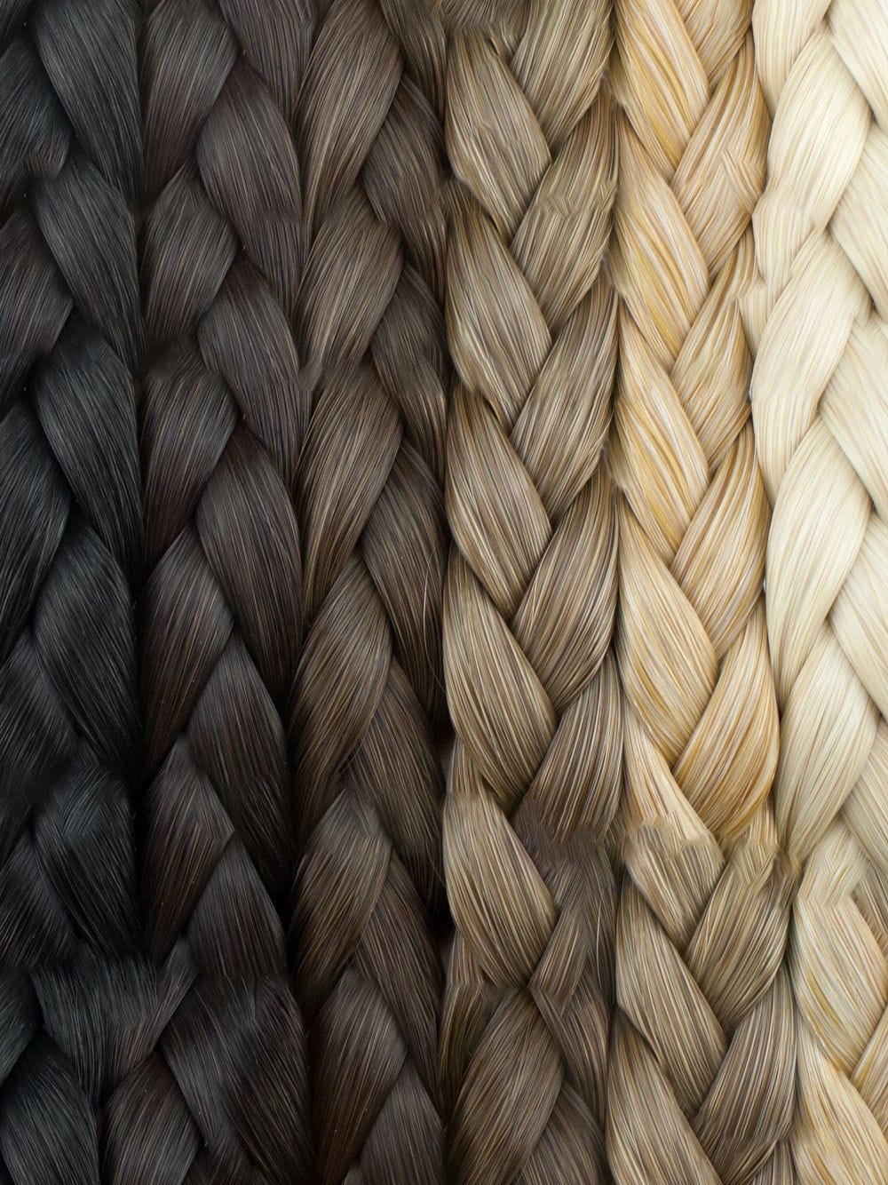 ALL COLORS