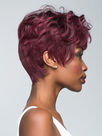 PLUM-DANDY