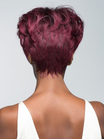 PLUM-DANDY