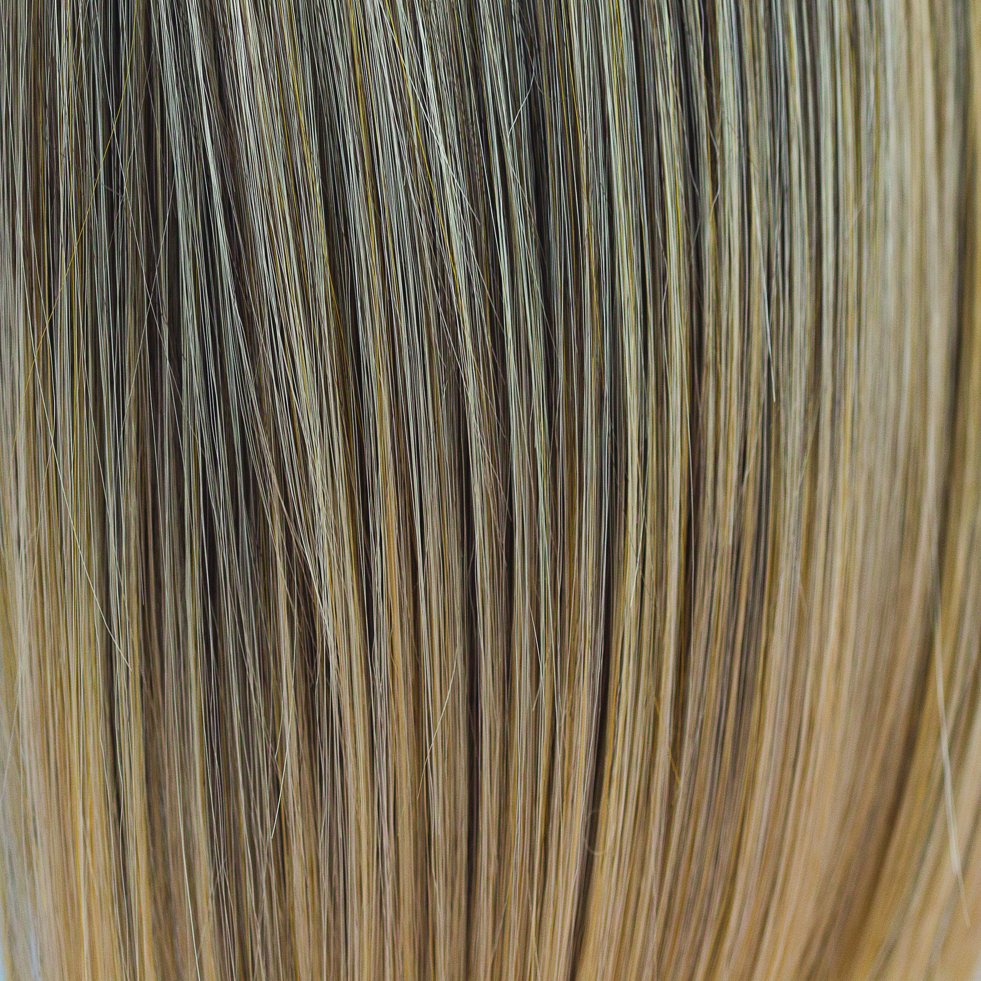 Sunny Spice - This warm deep coffee rooted color develops into a nutmeg and creamy toffee blond of chunky slices. 