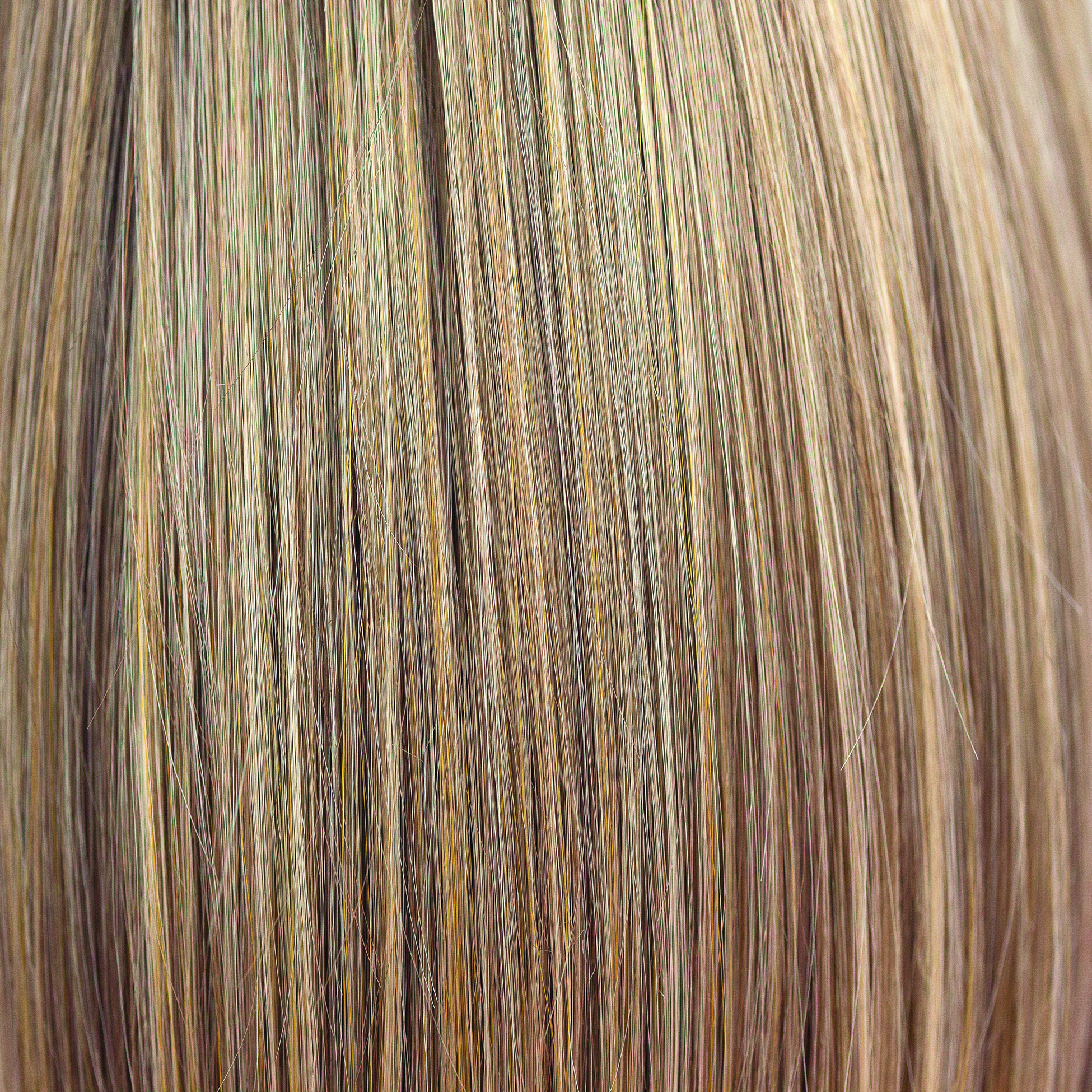 Toasted Shine  -  A wonderfully toned blend of caramel and toffee with creamy vanilla slices. 